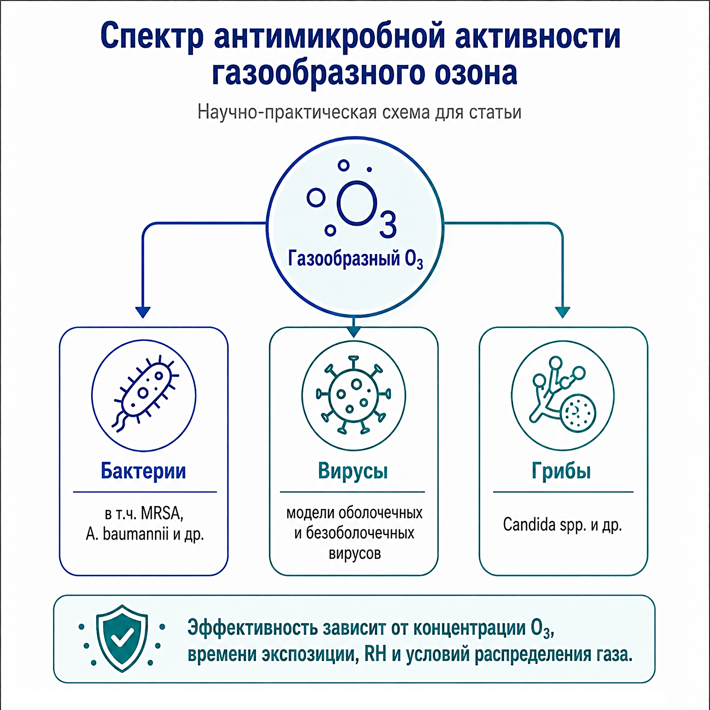 Спектр антимикробной активности озона